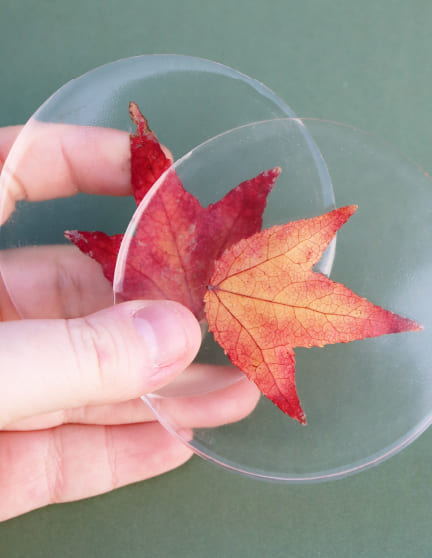 sous verres résine inclusion feuille automne